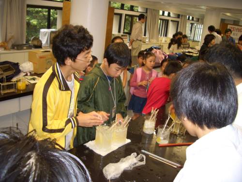 �A�C�X�L�����f�B���̗l�q