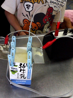 �P�[�L�Ă��Ă���