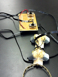 �܂��ǂ��Ȃ��݃v�`���{