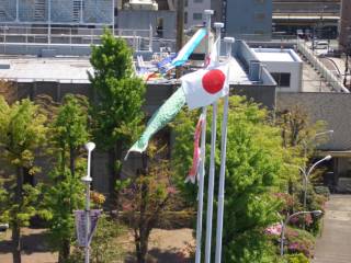 �����̂ڂ�